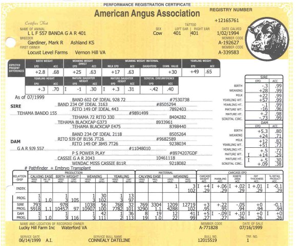 401Pedigree.jpg (85841 bytes)