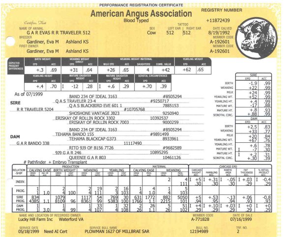 512Pedigree.jpg (87679 bytes)