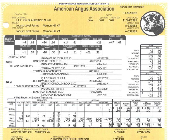 578Pedigree.jpg (84709 bytes)