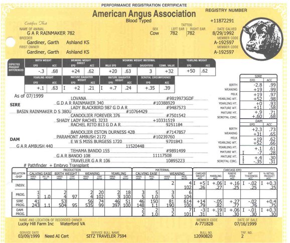 782Pedigree.jpg (86595 bytes)