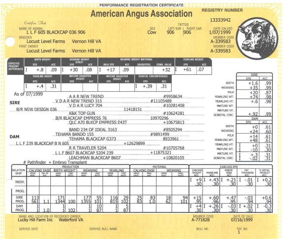 906Pedigree.jpg (83939 bytes)