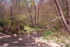 BeaverDamCreek.jpg (16544 bytes)