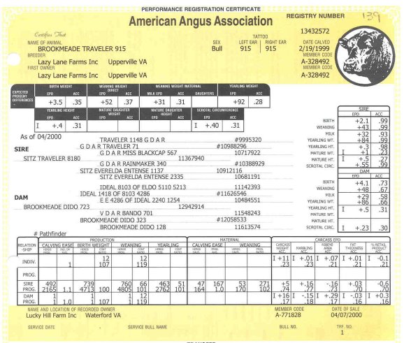 BigBoy915Pedigree.jpg (78307 bytes)
