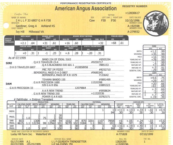 F30Pedigree.jpg (84603 bytes)