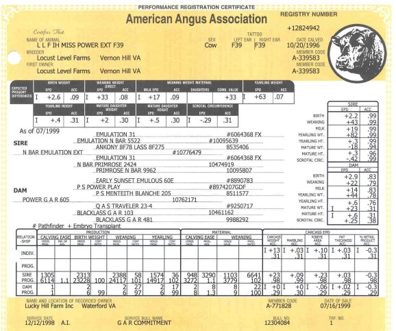 F39Pedigree.jpg (86369 bytes)