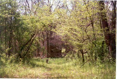 Grubbs Mill in Clearing (49895 bytes)